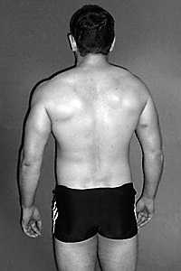 Massage-Doncaster Bisexual Male Massage Photo 5